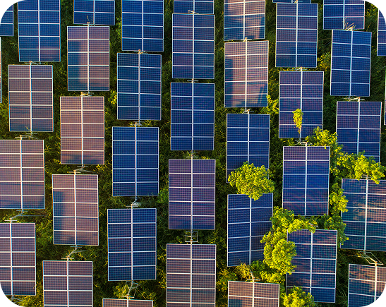 Solar farm growth illustration